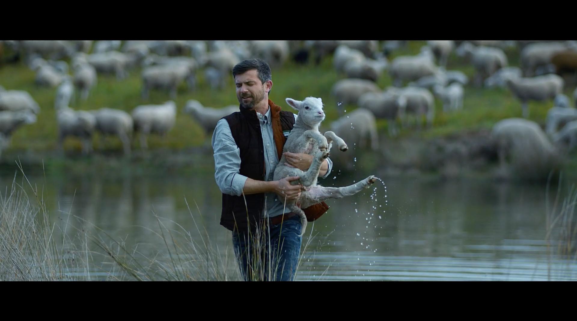 Maninho DOP Frame